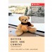 Swiss RayGuard Wonder Ted อุปกรณ์ป้องกัน คลื่นแม่เหล็กไฟฟ้าจากโทรศัพท์มือถือ - Brown